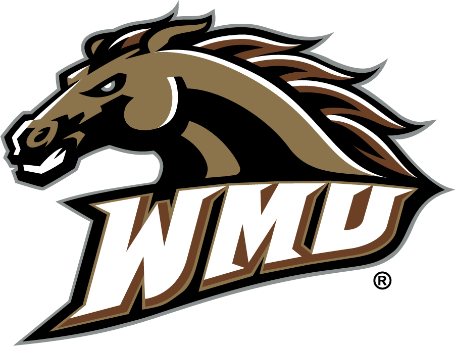 Western Michigan Broncos 1998-2016 Alternate Logo diy DTF decal sticker